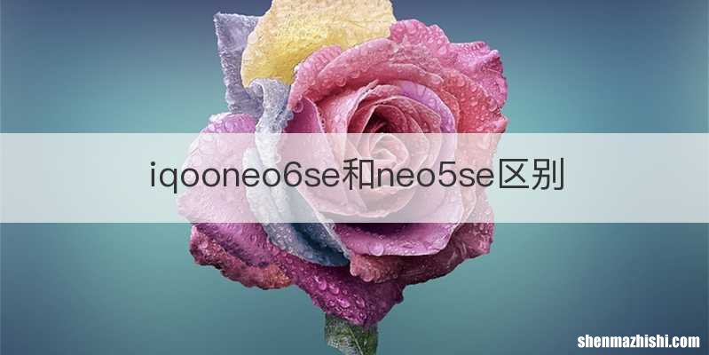 iqooneo6se和neo5se区别