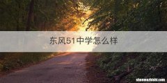 东风51中学怎么样