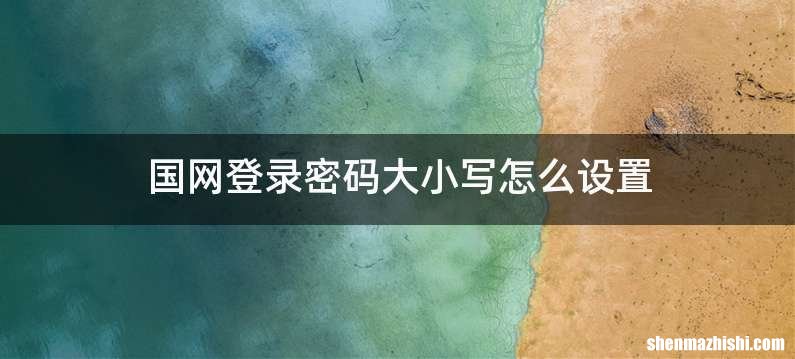 国网登录密码大小写怎么设置