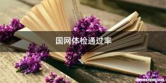 国网体检通过率