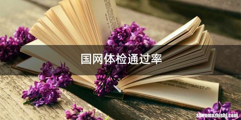 国网体检通过率