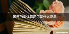 国网的集体聘用工是什么意思