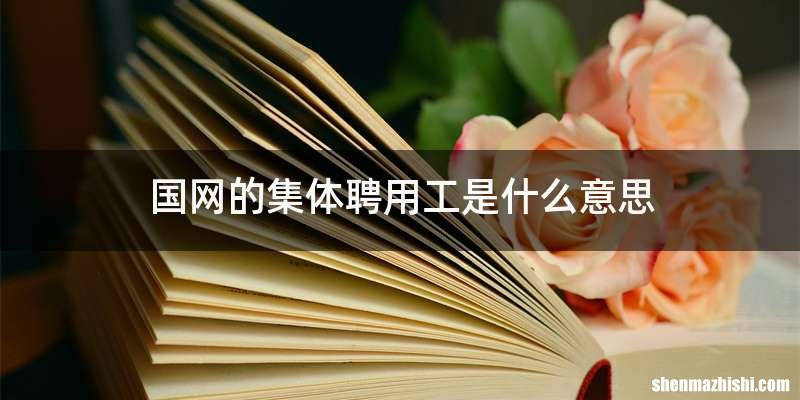 国网的集体聘用工是什么意思