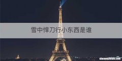 雪中悍刀行小东西是谁