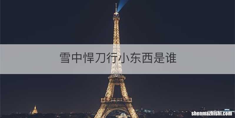 雪中悍刀行小东西是谁