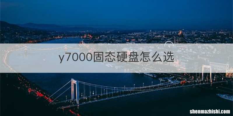 y7000固态硬盘怎么选