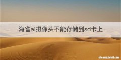 海雀ai摄像头不能存储到sd卡上