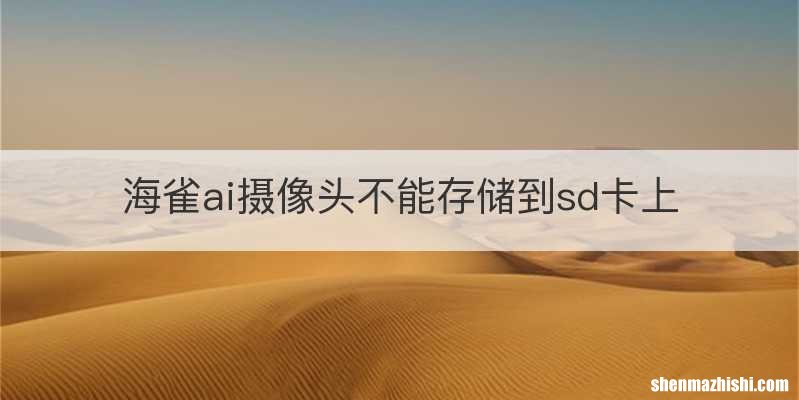 海雀ai摄像头不能存储到sd卡上