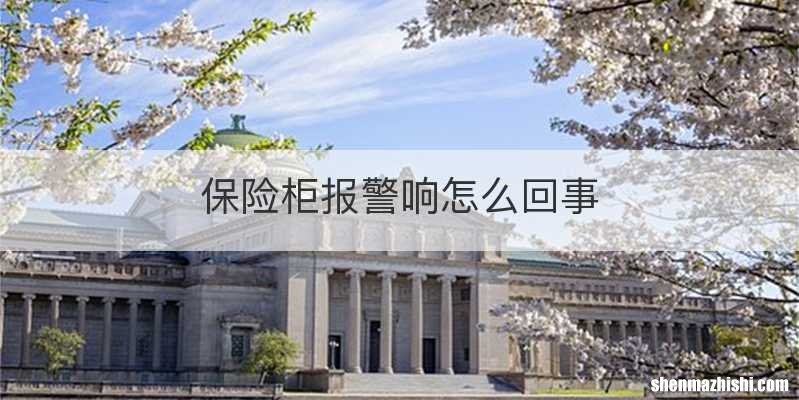 保险柜报警响怎么回事