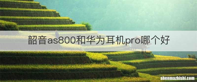韶音as800和华为耳机pro哪个好