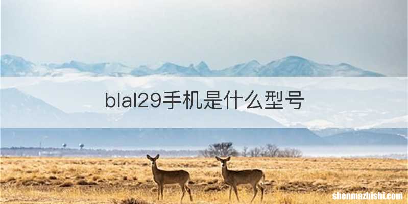 blal29手机是什么型号