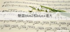 魅蓝blus2和blus+谁大