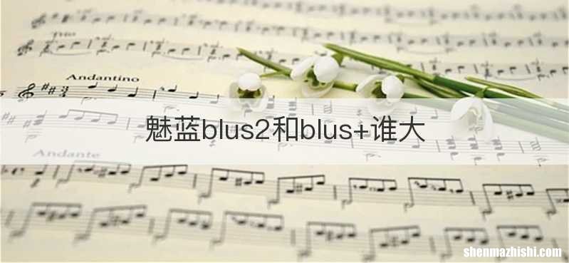 魅蓝blus2和blus+谁大
