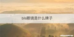 bls眼镜是什么牌子