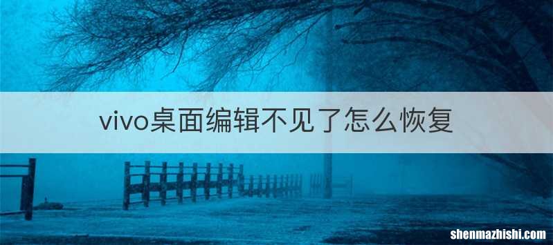 vivo桌面编辑不见了怎么恢复