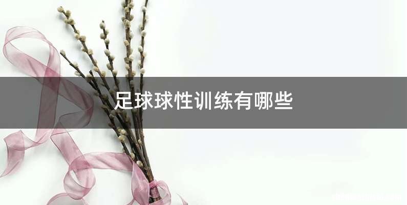 足球球性训练有哪些