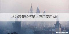 华为鸿蒙如何禁止应用使用wifi