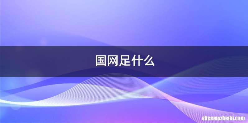 国网足什么