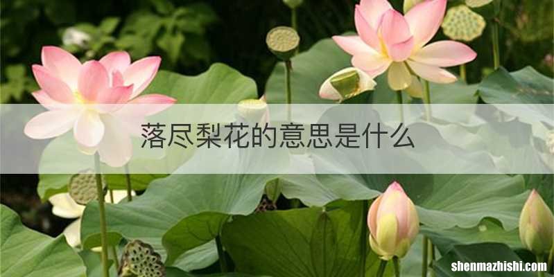 落尽梨花的意思是什么