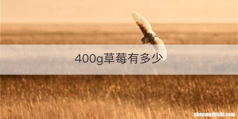 400g草莓有多少
