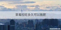 草莓控旺多久可以施肥