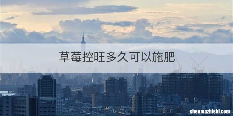 草莓控旺多久可以施肥
