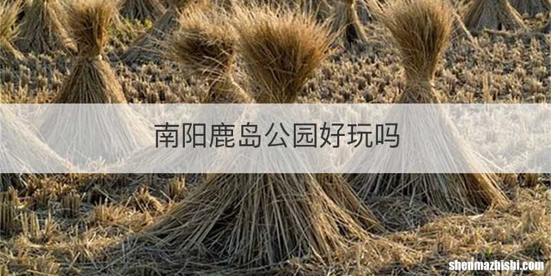 南阳鹿岛公园好玩吗