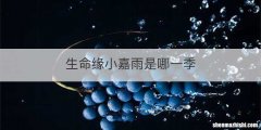 大连到广鹿岛轮渡时间