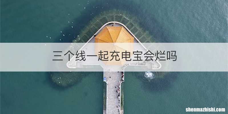 三个线一起充电宝会烂吗