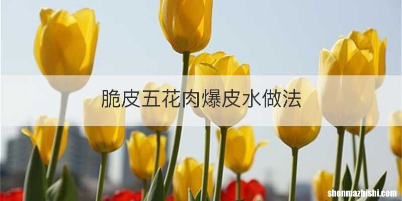 脆皮五花肉爆皮水做法