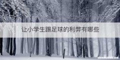 让小学生踢足球的利弊有哪些