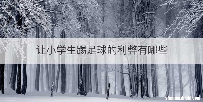 让小学生踢足球的利弊有哪些