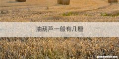油葫芦一般有几厘