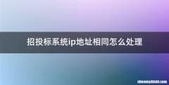 招投标系统ip地址相同怎么处理