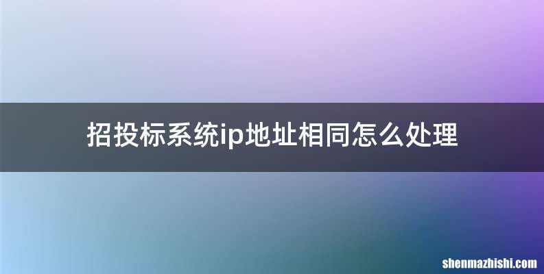 招投标系统ip地址相同怎么处理
