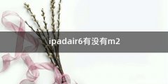 ipadair6有没有m2