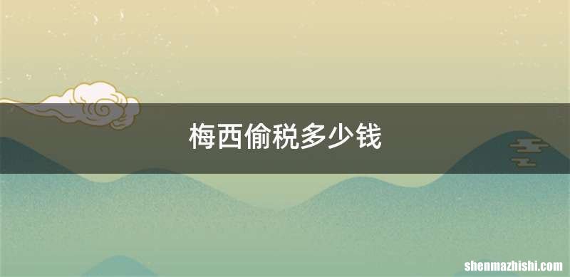 梅西偷税多少钱