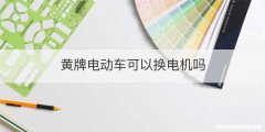 黄牌电动车可以换电机吗