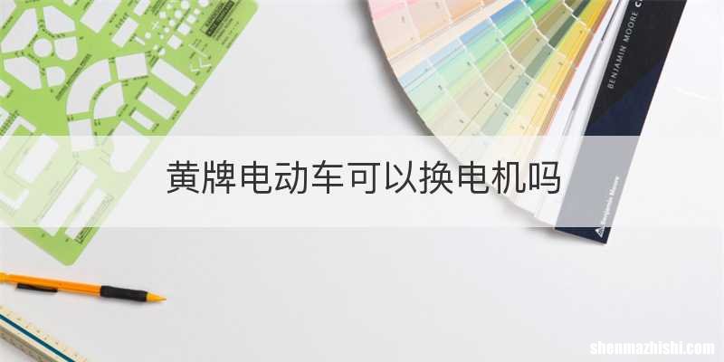 黄牌电动车可以换电机吗