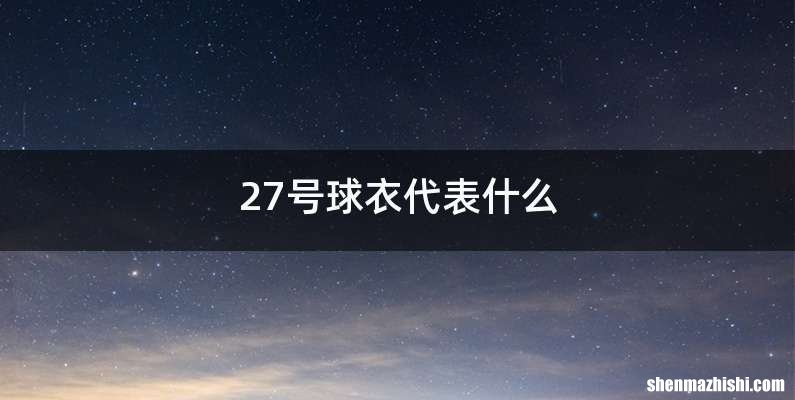 27号球衣代表什么