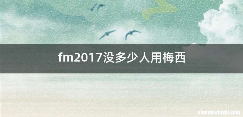 fm2017没多少人用梅西