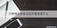 万物独化物各自生的意思是什么