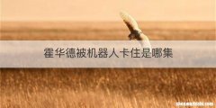 霍华德被机器人卡住是哪集