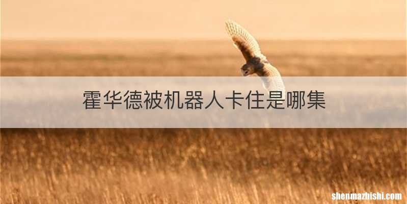 霍华德被机器人卡住是哪集