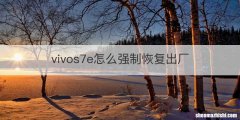 vivos7e怎么强制恢复出厂