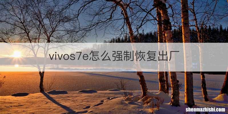 vivos7e怎么强制恢复出厂