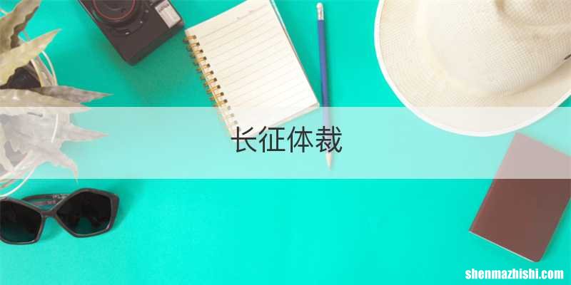长征体裁