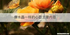 像水晶一样的心愿主要内容