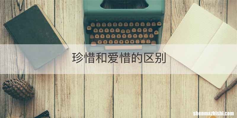 珍惜和爱惜的区别
