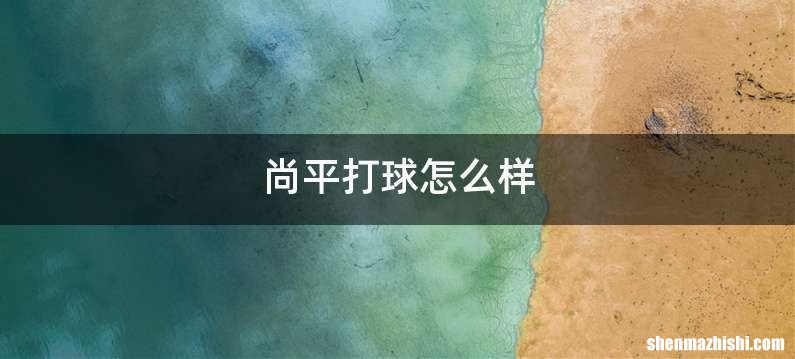 尚平打球怎么样